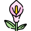 цветы 12
