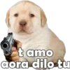 t amo aora dilo tu