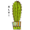 Cactus kawaii 17