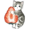 Gatitos hermosos 5 12