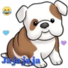 Varios animales 2 16