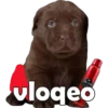 Vlo Old Spice eo