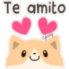 Gatitos Variados 17