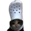 Gatitos Sad 15