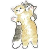 Gatitos hermosos 5 14