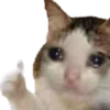 Yayaya 9