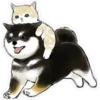 Gatitos hermosos 5 15