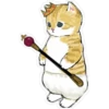 Gatitos hermosos 5 16