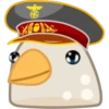 Pigeon 16