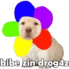 bibe zin drog4z