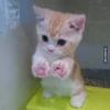 VIA 9GAG.COM
