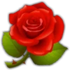 Rosas (Flores) 15