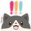 Gatitos Variados 21