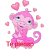 Varios animales 2 17