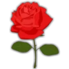 Rosas (Flores) 16