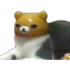 Gatitos Sad 19