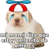mi mami dice que estoy rellenito de amor :(