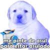 me pinte de asul para estar asulado