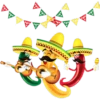 Viva México 11
