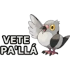 pokemon 16