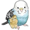 Gatitos hermosos 5 20