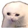 Gatitos Sad 20