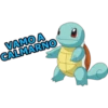 pokemon 18