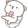 3 MoChI CaT (clásica) 21
