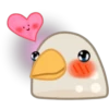 Pigeon 20