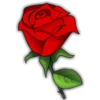 Rosas (Flores) 19
