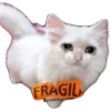 Gatitos Sad 21