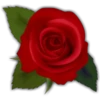 Rosas (Flores) 20