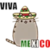 Viva México 15