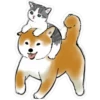 Gatitos hermosos 5 24