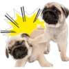 Perritos 21