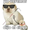 ya veremos dijo el ciego
