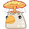 Pigeon 23