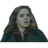 Harry Potter Bananero 20