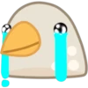 Pigeon 25
