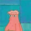 Bob Esponja RND 24