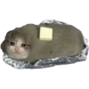 Gatitos Sad 23
