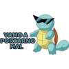 pokemon 24