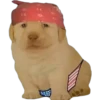 PERRITO PACK 1 21