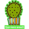 Cactus kawaii 27
