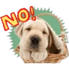 Perritos 26