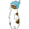 Gatitos hermosos 5 27