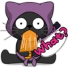 NINJA PURPLE English 16