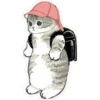 Gatitos hermosos 5 28