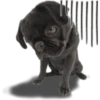 Perritos 29