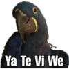 Shakira y Anuel AA - Me Gusta 27